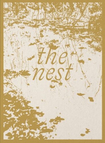 Lynn Alleva Lilley - The Nest
