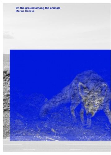 Marina Caneve - On the ground among the animals