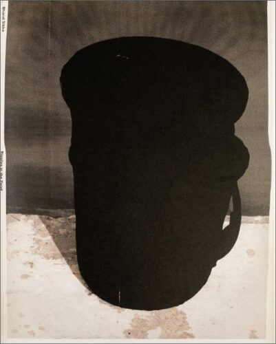 Bharat Sikka - Ripples in the Pond