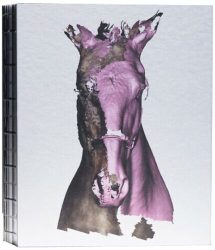 Tove Kjellmark - The Horse, the Robot & the Immeasurable