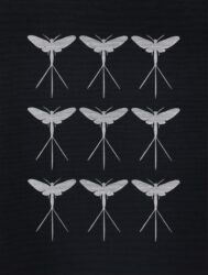 Darren Smith - Mayflies