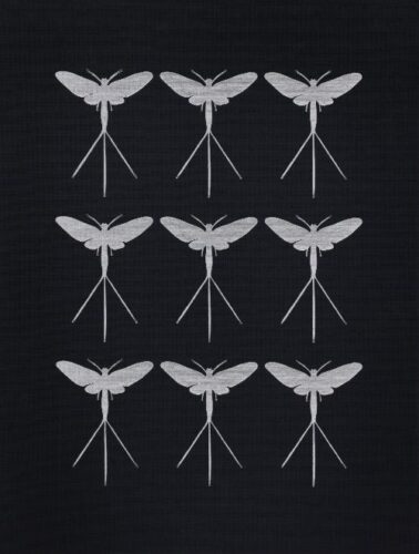 Darren Smith - Mayflies