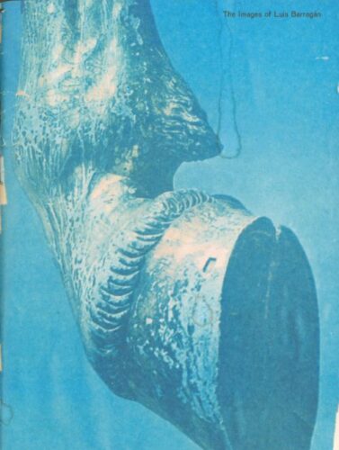 The Images of Luis Barragan