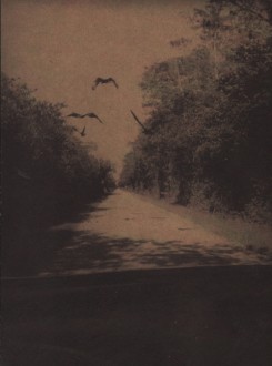 Bert Teunissen - On The Road, Everglades