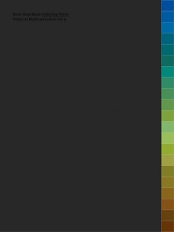 Irene Kopelman - Indexing Water (notes On Representation Vol. 9)