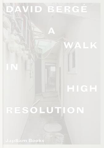 David Berge - A Walk in High Resolution