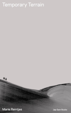 Marie Reintjes - Temporary Terrain