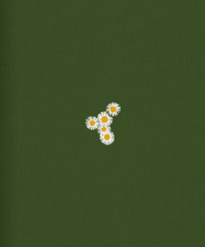 Benedetta Ristori - You don't need soil to grow