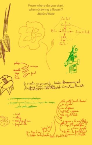 Matias Pineiro - From where do you start when drawing a flower?