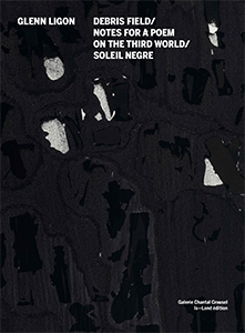 Glenn Ligon - Debris Field / Notes For A Poem On The Third World / Soleil Negre